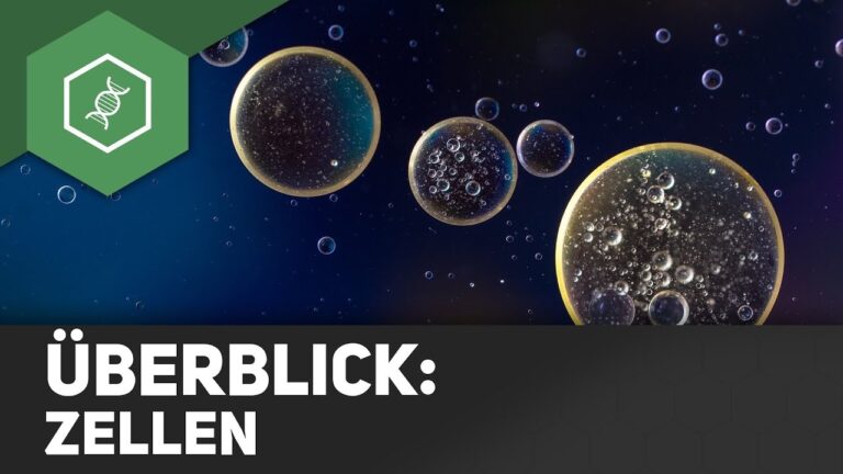 Wichtige Zellfunktionen einfach erkl&auml;rt