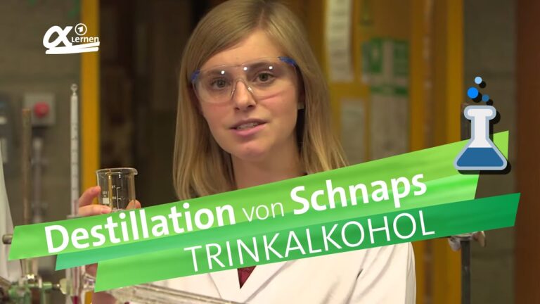 Spielerisches Lernen: Chemische Reaktionen und Reaktionsgleichungen f&uuml;r Sch&uuml;ler